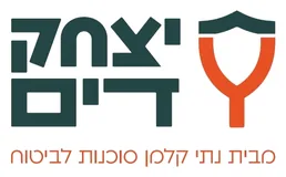 דים
